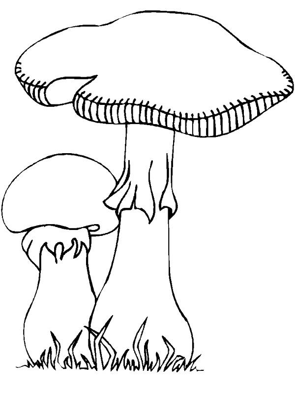 Plansa de colorat cu Toamna 144 51